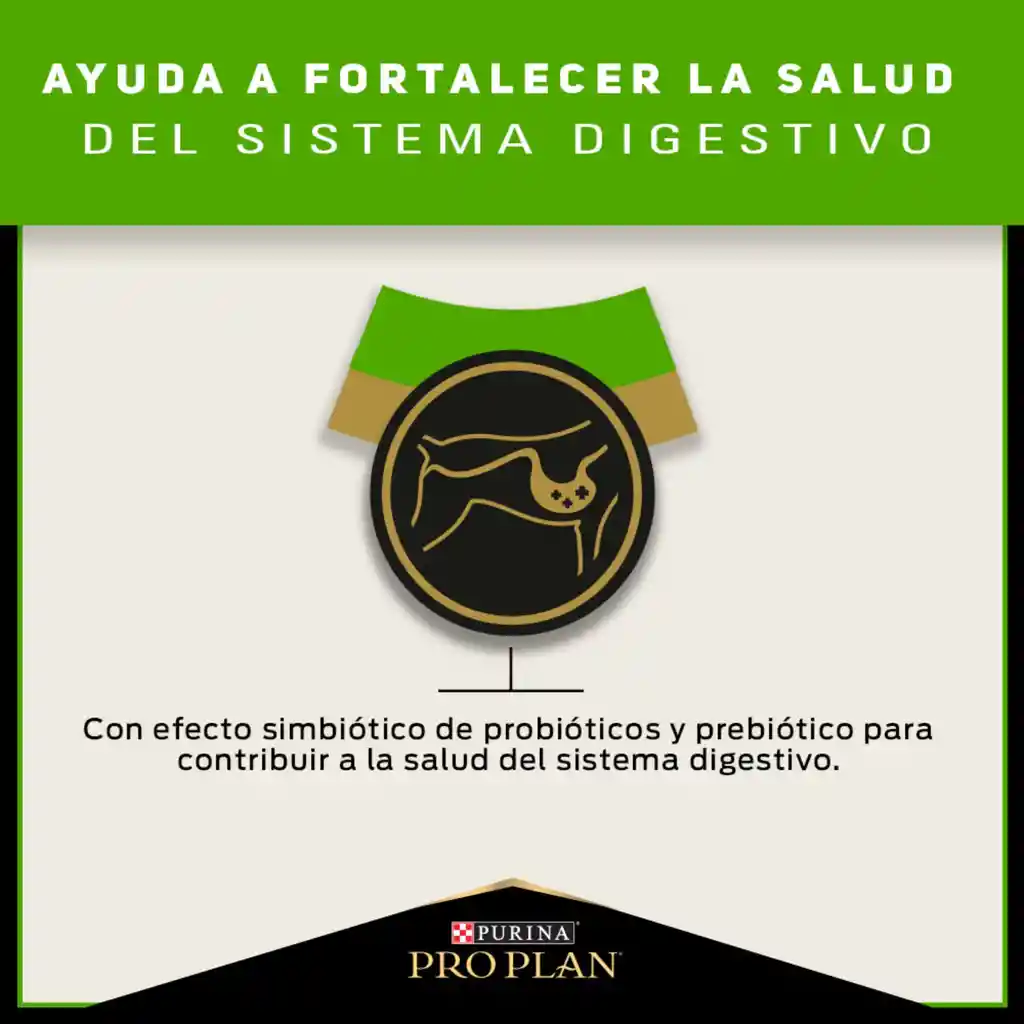 PRO PLAN SKIN & STOMACH ADULTO 3,5 kg