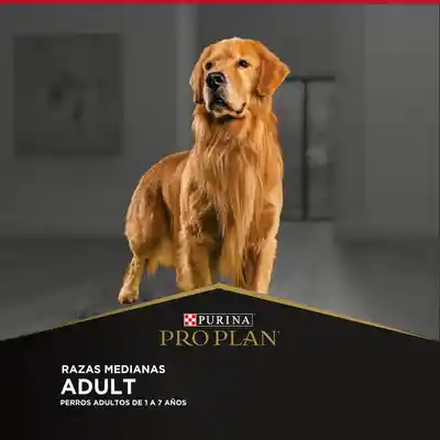 Raza Pro Plan Adlt Dog  Mediana X 3Kg