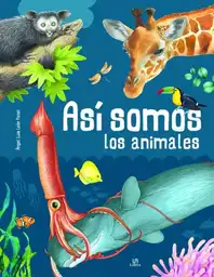 Así Somos Los Animales - Sin Fronteras