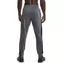 Ua Brawler Pant Talla Lg Pantalones Y Lycras Gris Para Hombre Marca Under Armour Ref: 1366213-012