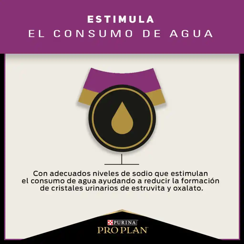 Comida para Gatos Adultos cuidado urinario Purina Pro Plan x 3 kg