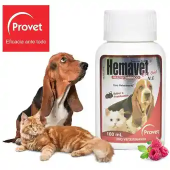 Provet Suplemento Nutricional Hemavet B12 100 mL