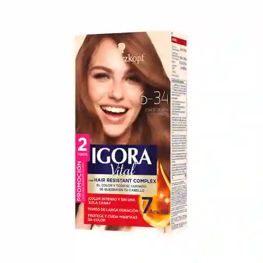 Tinte Igora Vital 6-34 Chocolate Dorado