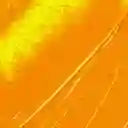 Pébéo Pintura Óleo Fino Studio xl Oro Rico 37 mL