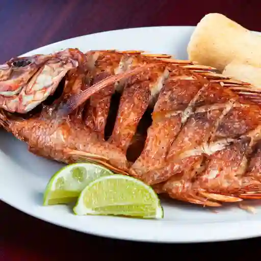 Mojarra