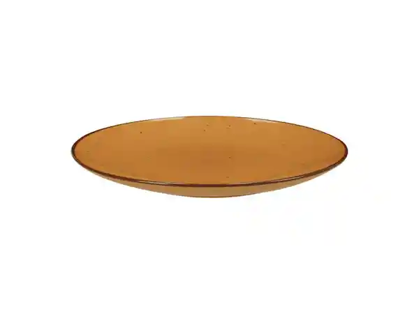 Plato de Comida Rústico Casaideas