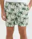 Traje Baño Palms Escarchado Claro Masculino Verde L Chevignon