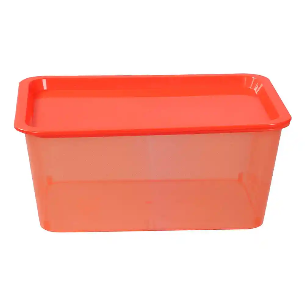 Caja Krea Plástica Esencial Colorado