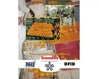 Manejo Postcosecha y Comercialización de Granadilla