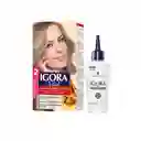 Tinte Igora Vital 8-1 Rubio Claro Cenizo + Oxigenta Gratis