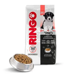 Ringo Alimento para Perro Cachorro Pro