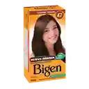 Bigen Tinte Capilar en Polvo 47 Castaño Oscuro