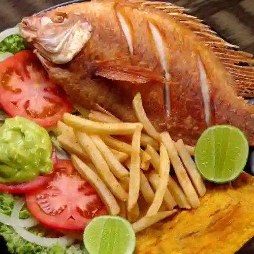 Mojarra Frita