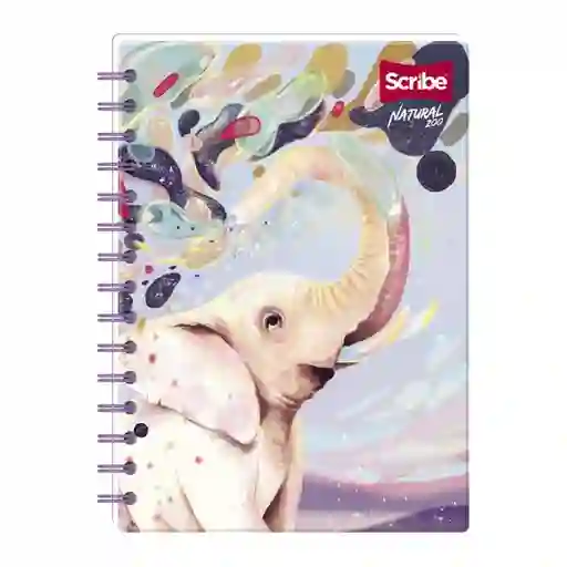 Scribe Cuaderno Espiral Grande 80 Hojas Cuadriculado Natural