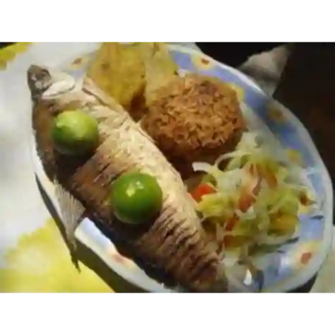 Bocachico