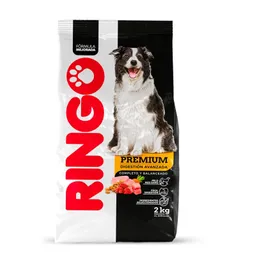 Ringo Alimento para Perro Premium Digestión Avanzada