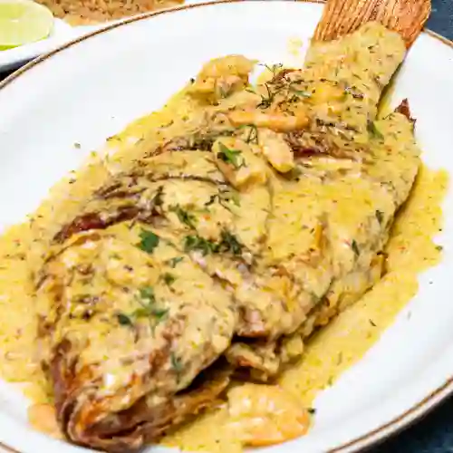 Mojarra en Salsa de Camaron