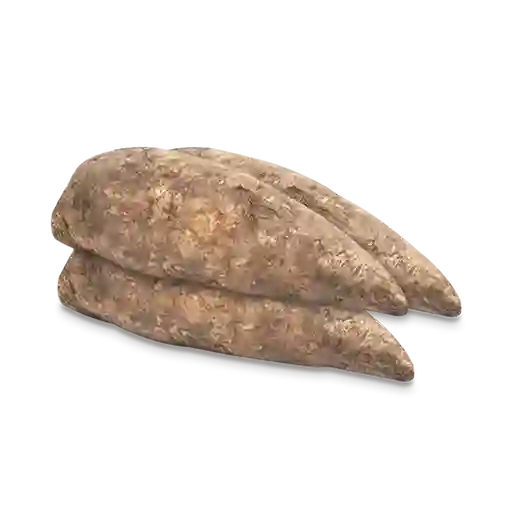 Arracacha