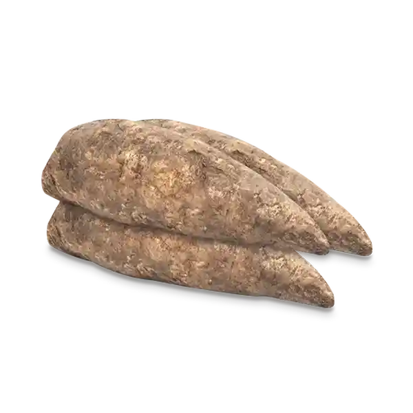 Arracacha