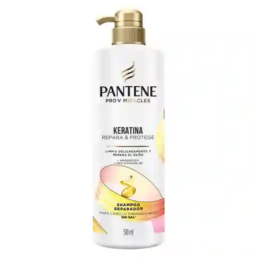 Champu de Cabello Pantene Repara y Protege (510 Ml)