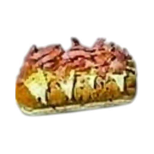 Ústele