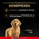 Comida para Perros cachorros razas medianas Purina Pro Plan x 13 kg