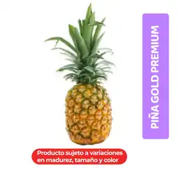 Piña Gold Premium