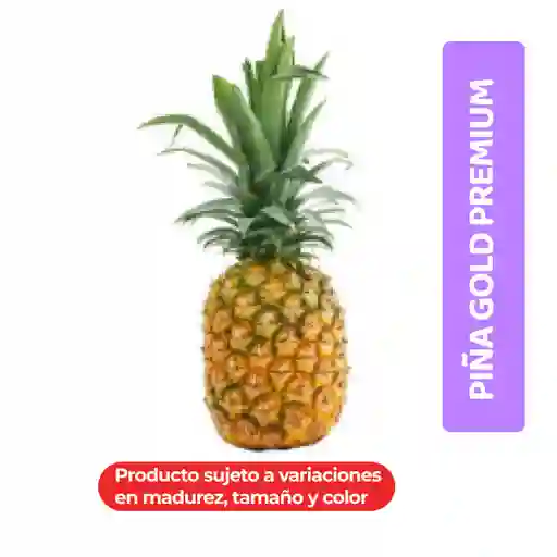 Piña Gold Premium