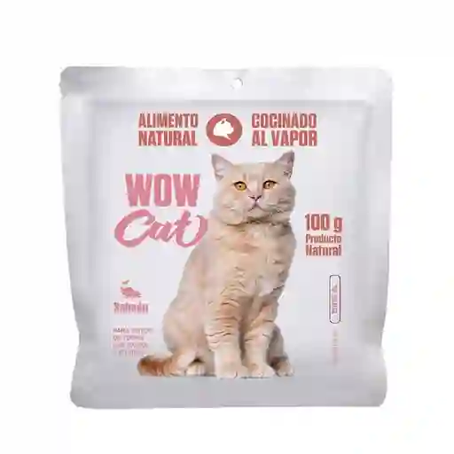 Wow Cat Alimento Para Gato Pouch Salmón