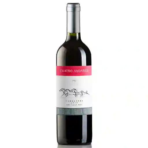 Cuatro Andares Vino Tinto Carmenere