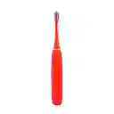 Kit de Cepillo Para Dientes Eléctrico Rojo Miniso