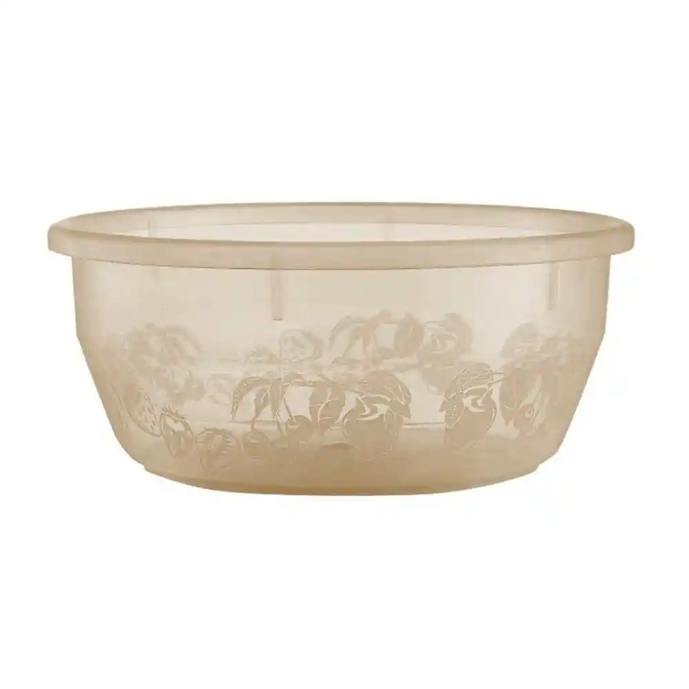 Tazon 11 Champagne Tazon Vanyplas 52012