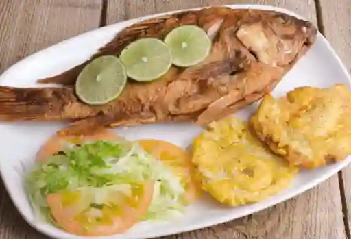 Tilapia Frita