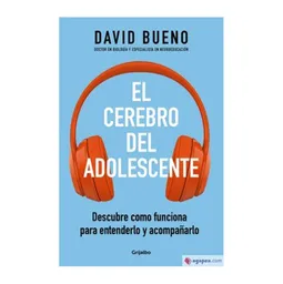 El Cerebro Del Adolescente