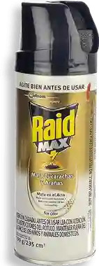 Raid Insecticida Mata En El Acto