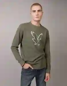 Camiseta Hombre Verde Talla: MEDIUM 3994309 American Eagle