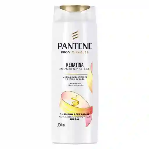 Champu de Cabello Pantene Repara y Protege (300 Ml)