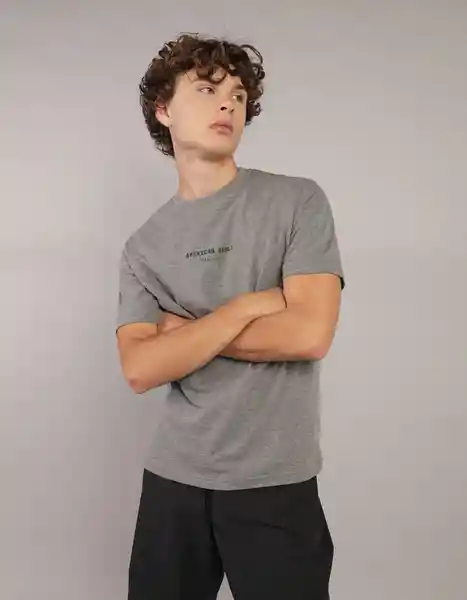 Camiseta Hombre Gris Talla MEDIUM 4290006 American Eagle