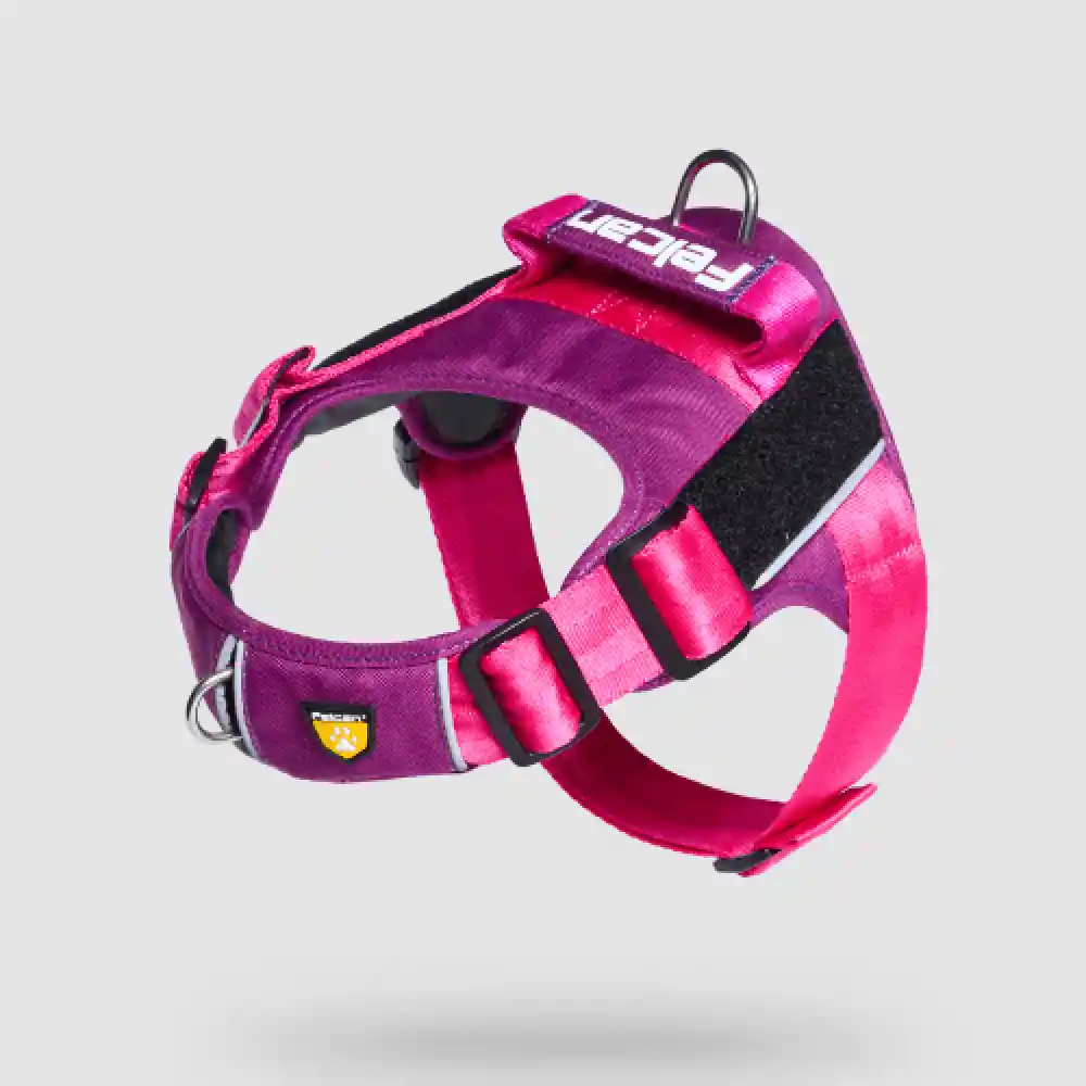 Arnés Para Perro Word Morado Felcan