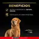 Comida para Perros adultos razas mediana Purina Pro Plan x 7,5 kg