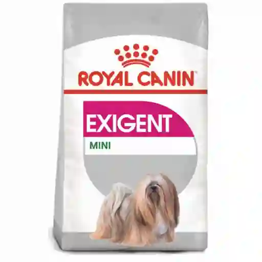 Royal Canin Alimento para Perros Adultos de Razas Pequeñas Exigent Mini