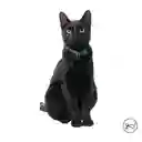 Collar Ajustable Para Gato Meow Verde