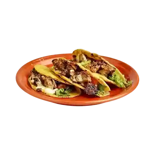 Taco de Pollo Al Josper X3