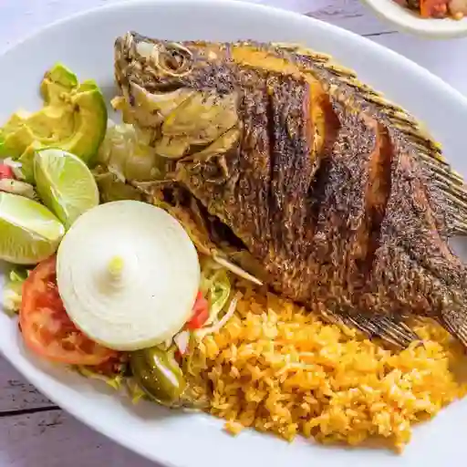 Mojarra negra frita