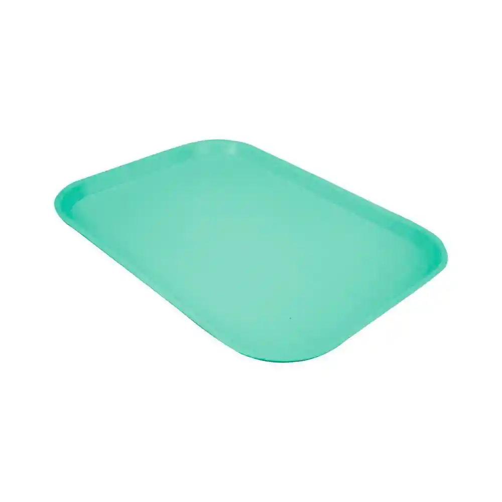 Bandeja Rectangular Vde Menta Vanyplas 54183