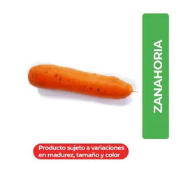 Zanahoria