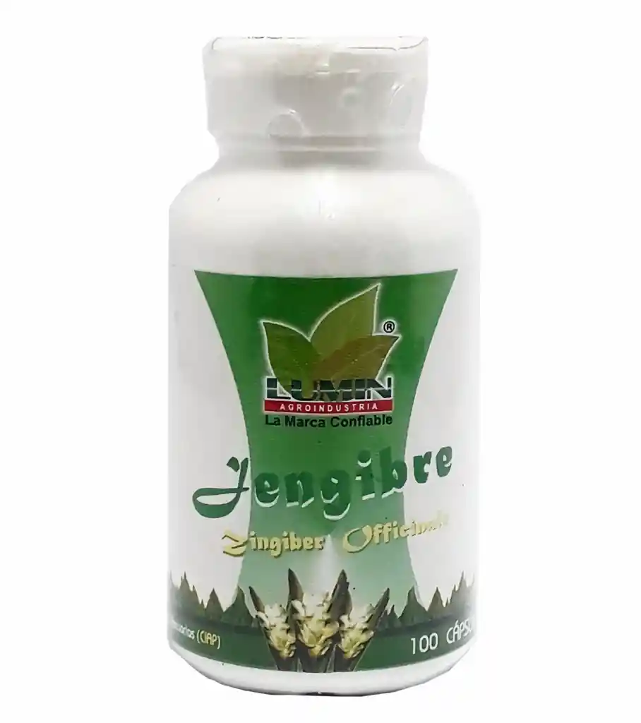 Jengibre Zingiber Officinale 100 capsulas