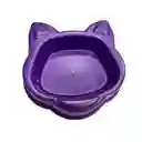 Comedero Cara de Gato Argos (color Surtido)