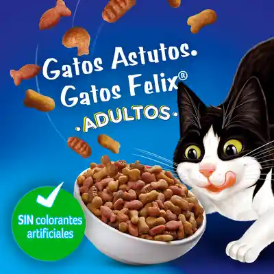 Felix Alimento Seco Gato Megamix