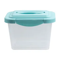 Caja Organiza Transp Tapa Color